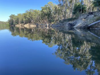 Reflection of trees in lake