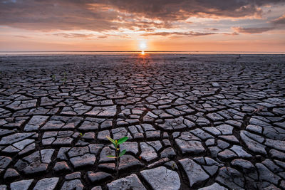 Scenic view of cracked field against sky during sunset