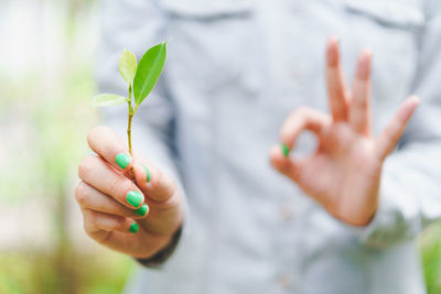 Close-up of hand holding plant