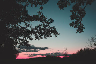 Low angle view of silhouette trees against sky at sunset
