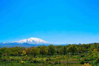 Scenic view of landscape against clear blue sky