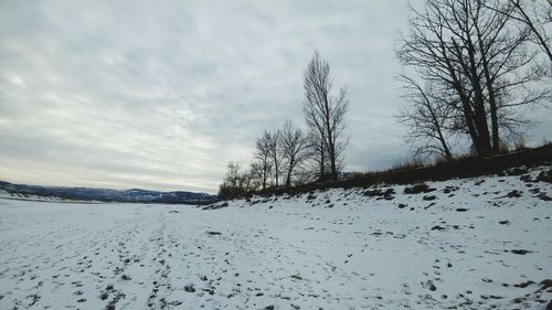 Snow covered field against sky