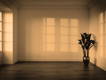 Silhouette woman standing on hardwood floor