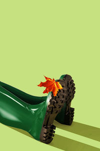 Green rubber boots with autumn red maple leaf on a yellow background