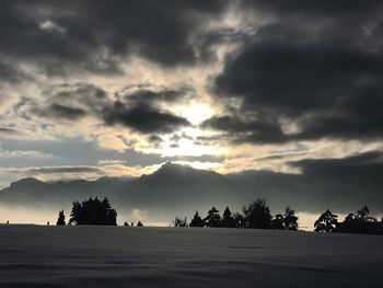 Silhouette trees on field against sky during sunset