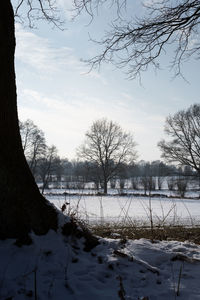 Scenic view of frozen lake against sky during winter