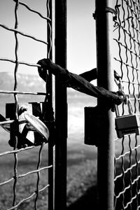 Close-up of padlock on fence against sky