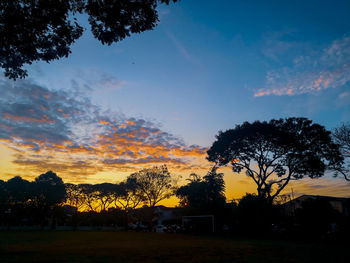 Silhouette trees on field against sky during sunset