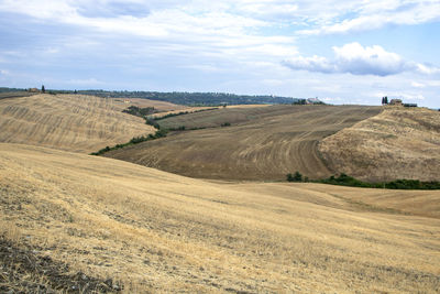 Scenic view of agricultural field against sky