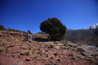 Rock formations on landscape