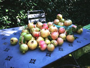 High angle view of apples on tree