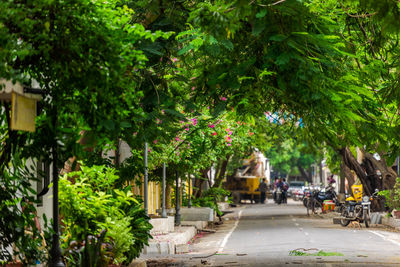 Street amidst trees and plants in city