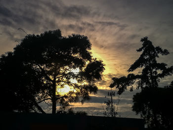 Low angle view of silhouette trees against sky during sunset