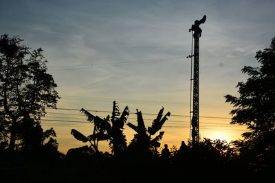 Low angle view of silhouette trees against sky during sunset