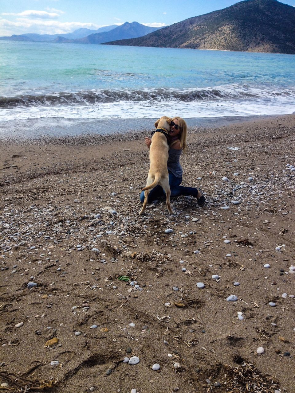 one animal, water, beach, animal themes, sea, shore, dog, pets, nature, full length, tranquil scene, tranquility, sand, sky, domestic animals, beauty in nature, scenics, mammal, horizon over water, side view