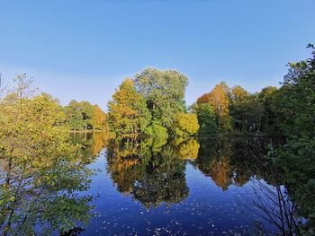 Reflection of trees in lake against clear blue sky