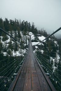 View of footbridge in forest in winter