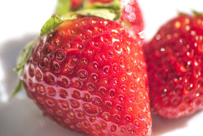 Close-up of strawberry