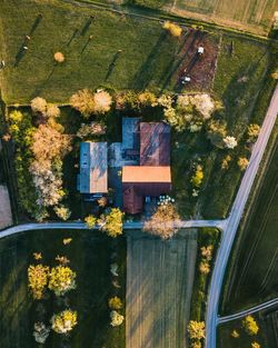 High angle view of plants by window of building