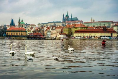 River with buildings in background