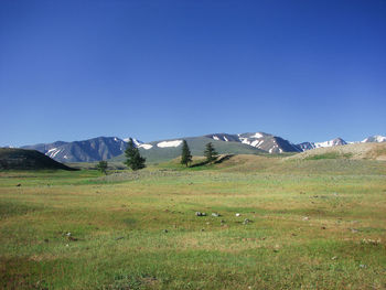 Scenic view of field and mountains against clear blue sky