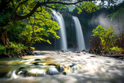 Scenic view of waterfall in forest