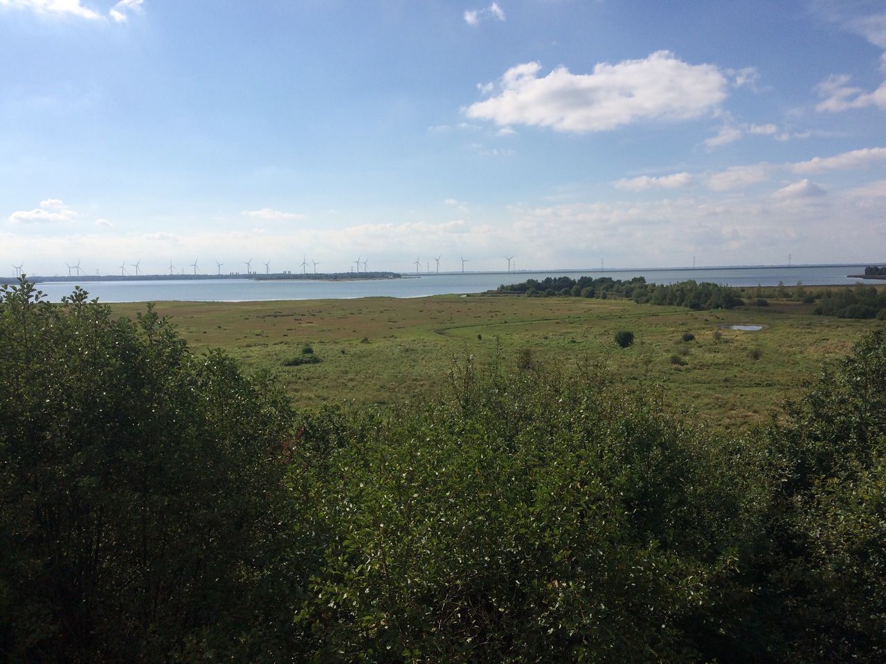 sea, water, nature, sky, horizon over water, scenics, beauty in nature, growth, beach, no people, outdoors, day