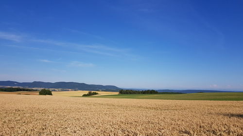 Scenic view of field against blue sky