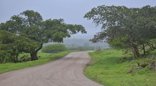 Road amidst trees against clear sky