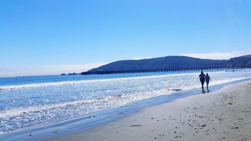 Rear view of people walking on beach against clear blue sky