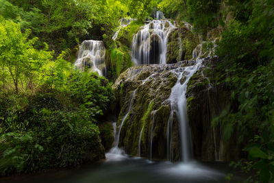 Scenic view of waterfall in forest