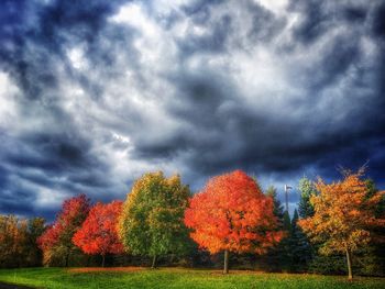 Autumn trees against cloudy sky