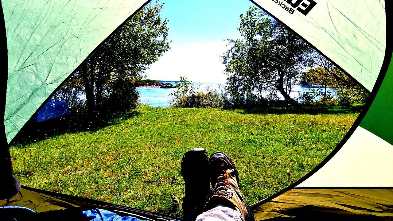 LOW SECTION OF PERSON LEGS AGAINST TREES ON SUNNY DAY