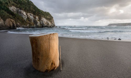 Black sand beach with tree stub, waves in dusk on sao miguel, azores, portugal