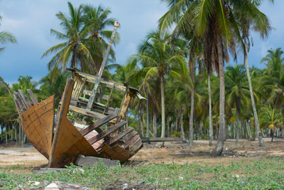 Abandoned boat at beach by palm trees