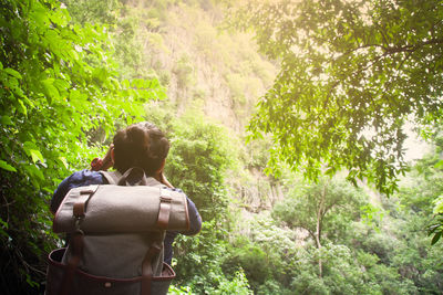 Rear view of man amidst plants in forest