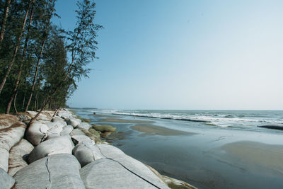 Scenic view of sea against clear sky