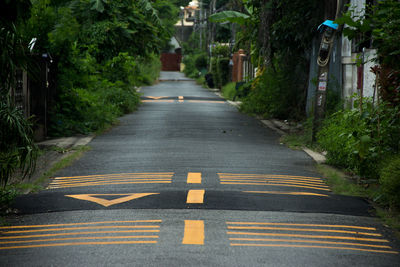 Markings on road amidst trees