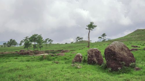 Panoramic view of landscape against sky