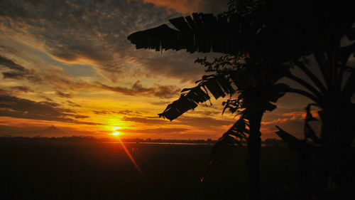 Scenic view of silhouette field against sky during sunset