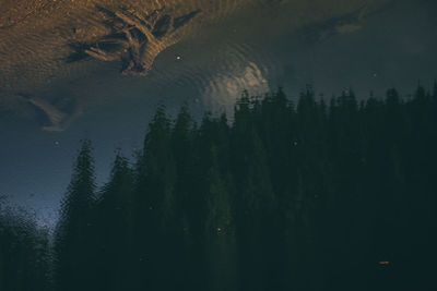 Reflection of trees in lake against sky
