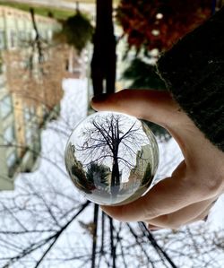 Close-up of hand on glass with reflection of bare trees