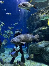 marine biology