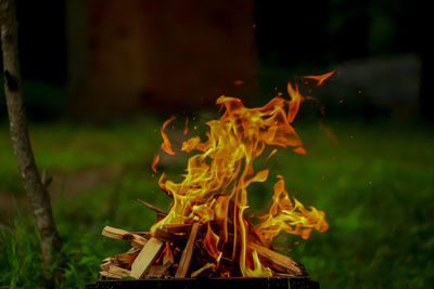 Close-up of bonfire on wood