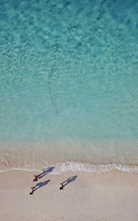 High angle view of man swimming in sea