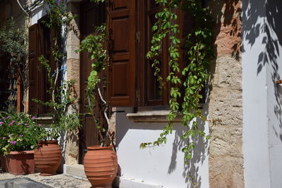 Potted plants on steps outside house