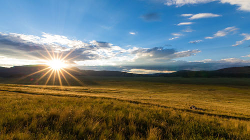 Scenic view of field against sky