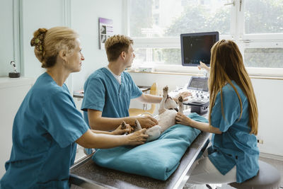 Female veterinarian discussing over ultrasound with coworkers while dog lying on table in clinic