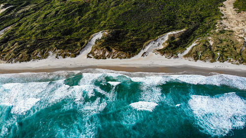 Scenic view of sea shore