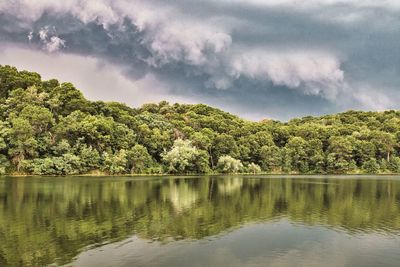 Scenic view of lake by trees in forest against sky